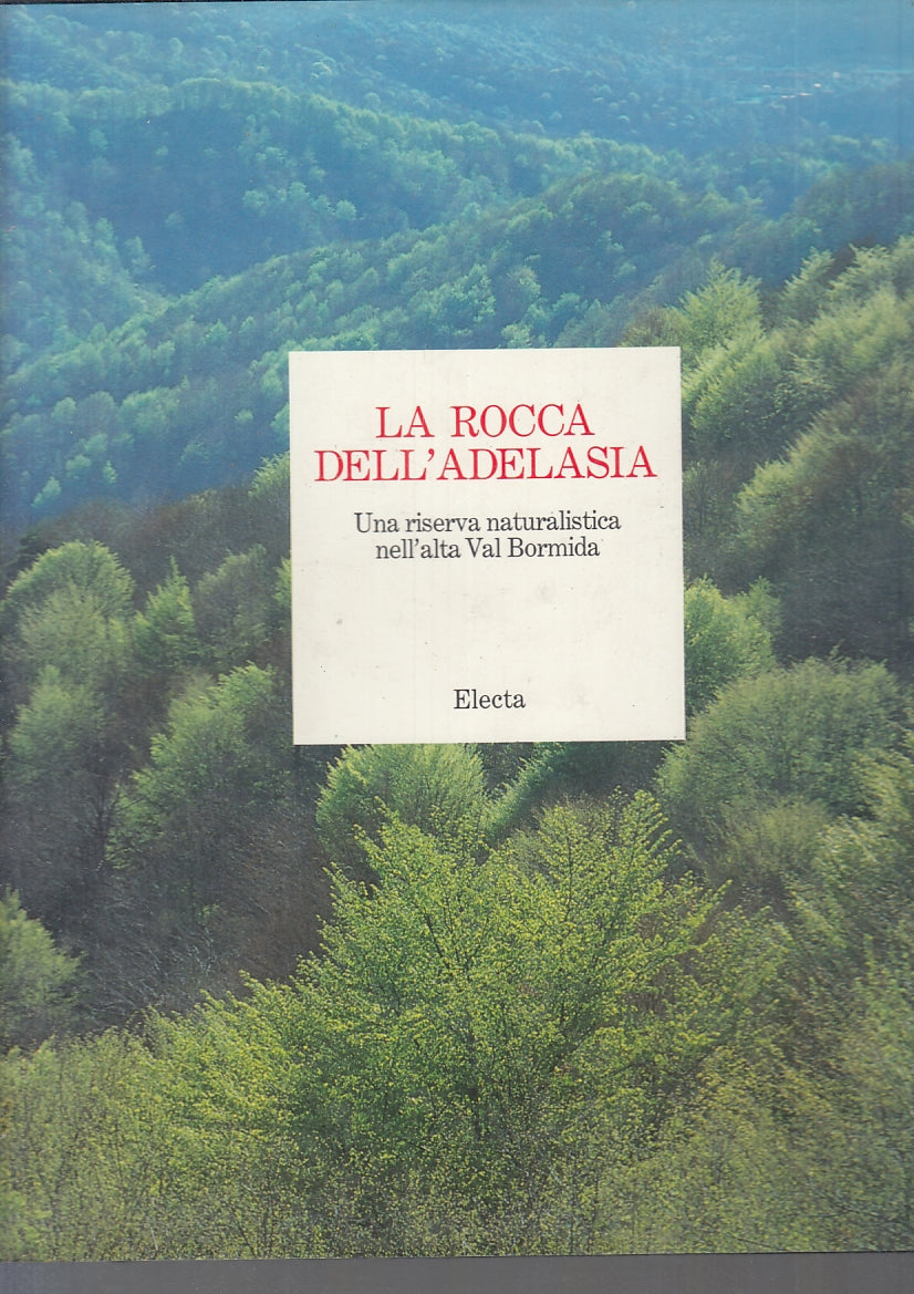 LV- LA ROCCA DELL'ADELASIA RISERVA VAL BORMIDA -- ELECTA--- 1989- CS- ZFS564