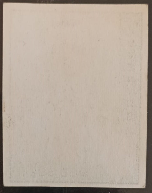 CALCIATORI PANINI 1962/63 - JUVENTUS - DEL SOL