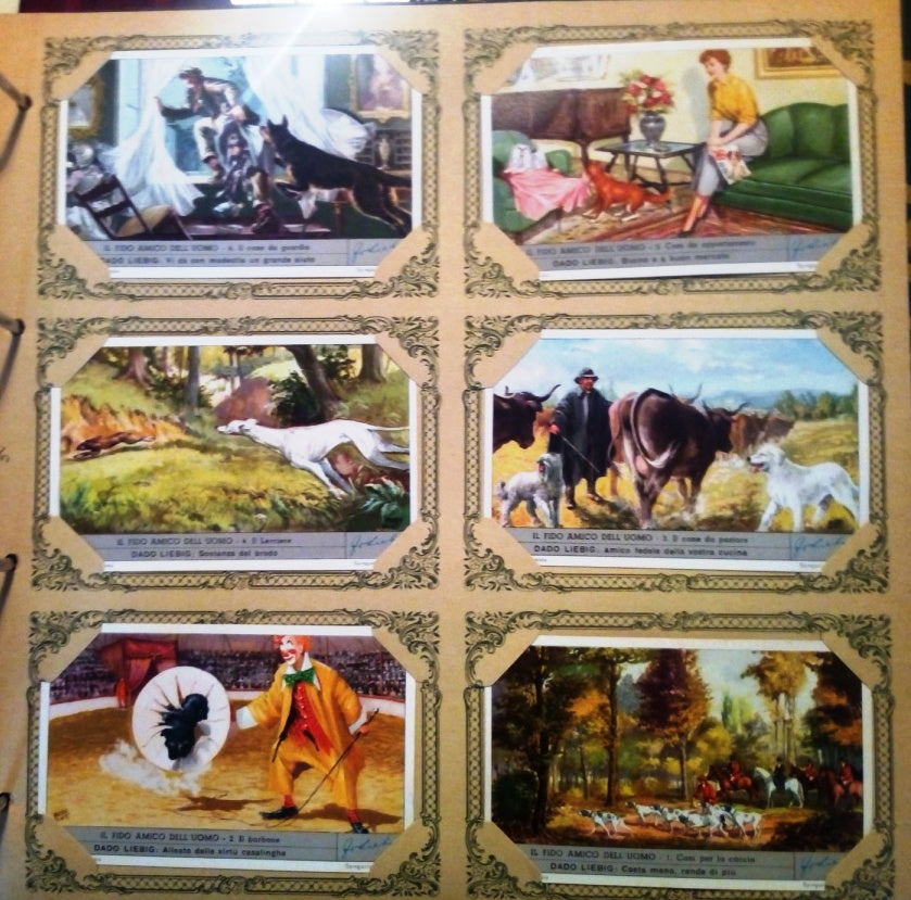 FIGURINE LIEBIG FIDO AMICO DELL'UOMO 1/6 COMPLETA SERIE 1636 1956 ITALIA