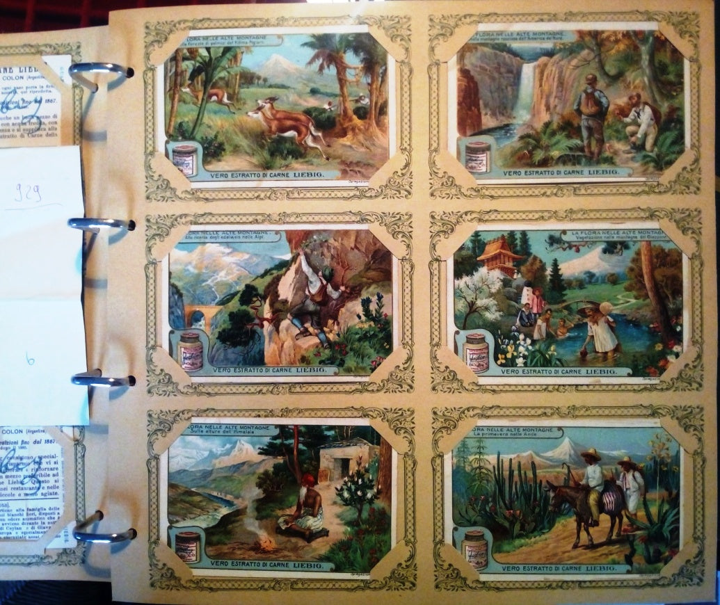 FIGURINE LIEBIG FLORA NELLE ALTE MONTAGNE 1/6 COMPLETA SERIE 930 1908 ITALIA