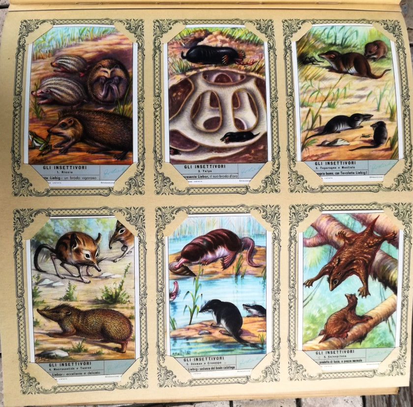 FIGURINE LIEBIG GLI INSETTIVORI 1/6 COMPLETA SERIE 1645 1956 ITALIA