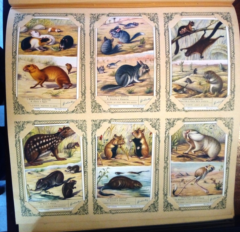 FIGURINE LIEBIG ROSICANTI ESOTICI 1/6 COMPLETA SERIE 1600 1954 ITALIA