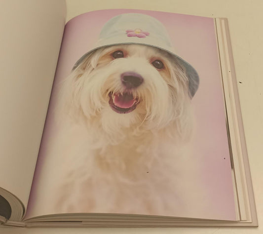LT- 101 NUOVI AMICI FOTOGRAFIE - RACHAEL HALE- CONTRASTO--- 2005- CS- YFS556