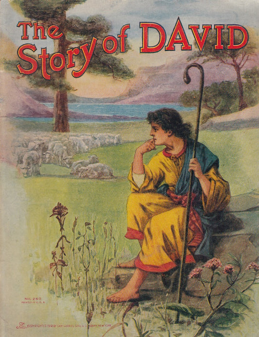 LD- THE STORY OF DAVID IN ENGLISH -- SAM GABRIEL SONS --- 1912 - S - RGZ