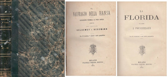 LS- BIBLIOTECA DI VIAGGI XXIV NAUFRAGIO HANSA FLORIDA-- TREVES--- 1874 - C- YDS6