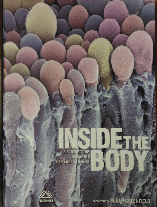 LZ- INSIDE THE BODY IMMAGINI DEL CORPO UMANO-- OCTOPUS--- 2005- C- YDS541