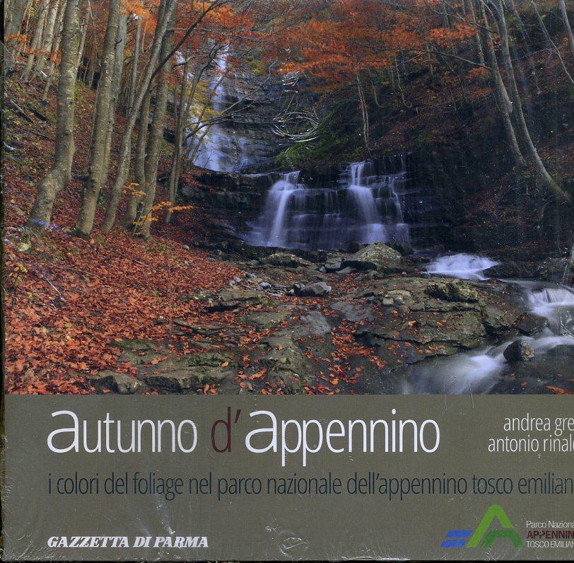 LZ- AUTUNNO D'APPENINO - GRECI RINALDI - GAZZETTA PARMA --- 2010 - B - WPR