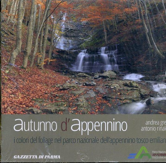 LZ- AUTUNNO D'APPENINO - GRECI RINALDI - GAZZETTA PARMA --- 2010 - B - WPR