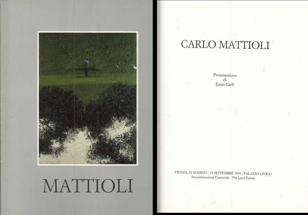 LT- CARLO MATTIOLI OPERE DAL 1979 AL 1991 -- PRO LOCO PIENZA --- 1991- B- ZDS319