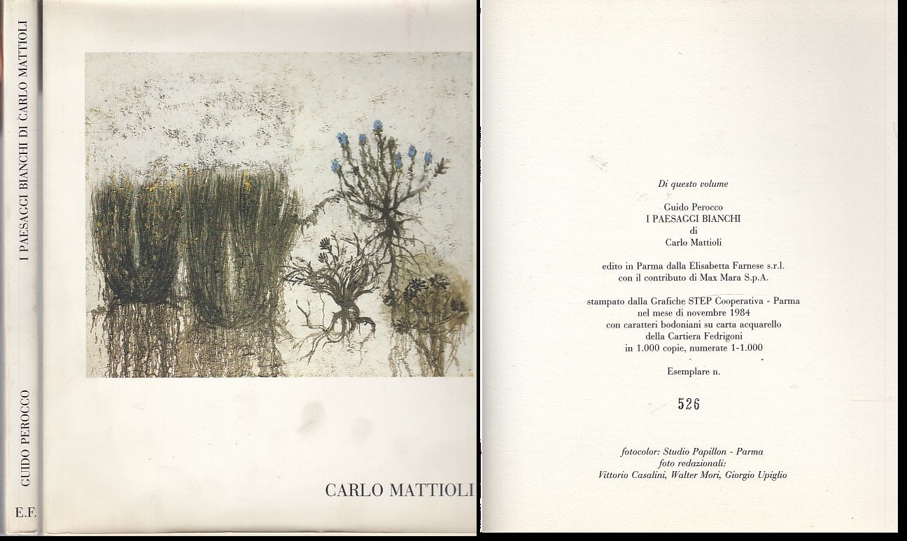 LT- CARLO MATTIOLI I PAESAGGI BIANCHI SANSEVERINA - PEROCCO---- 1984- BS- ZDS319