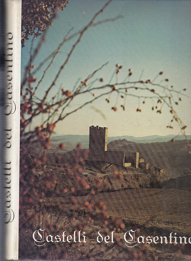 LT- CASTELLI DEL CASENTINO- SCARINI- CENTROSTAMPA AREZZO--- 1981- CS- YDS467