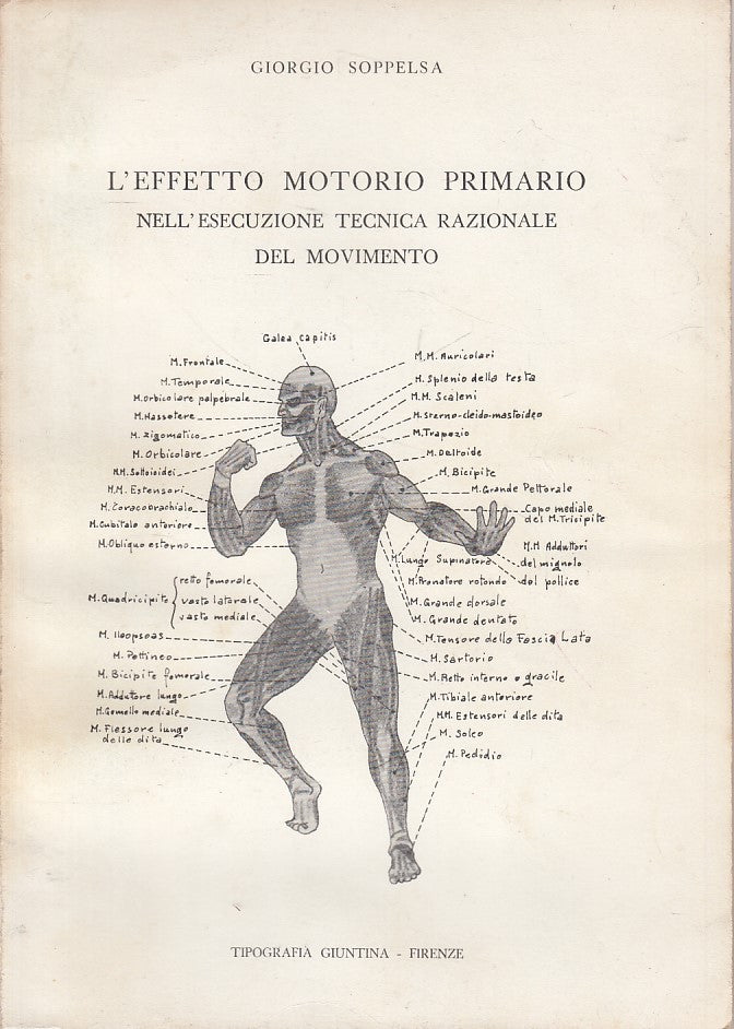 LZ- EFFETTO MOTORIO PRIMARIO - SOPPELSA - GIUNTINA --- 1960 - B - ZDS202