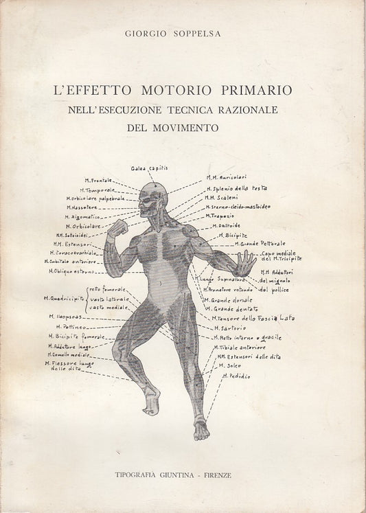 LZ- EFFETTO MOTORIO PRIMARIO - SOPPELSA - GIUNTINA --- 1960 - B - ZDS202