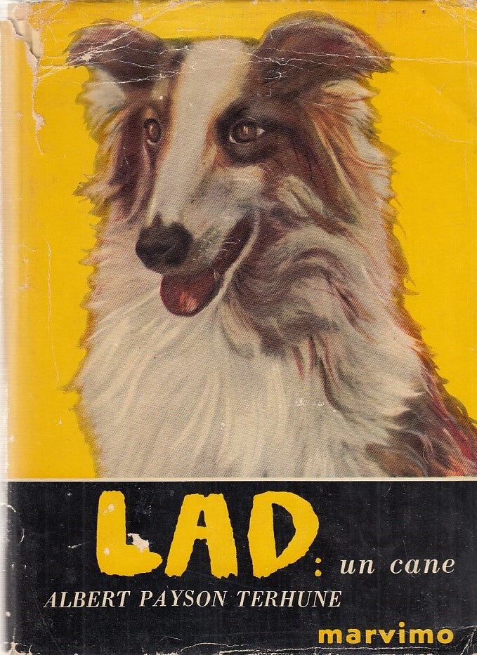 LN- LAD: UN CANE- TERHUNE- MARVIMO--- 1952- CS- ZDS528