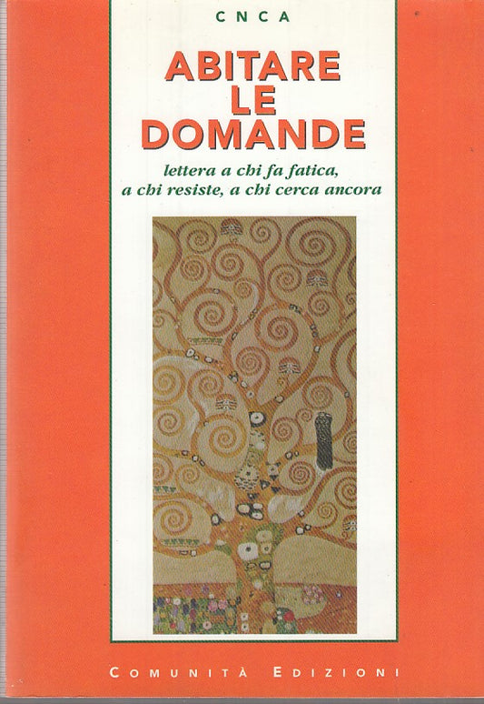 LZ- ABITARE LE DOMANDE LETTERA A CHI FATICA- CNCA- COMUNITA'--- 2002- B- ZDS533