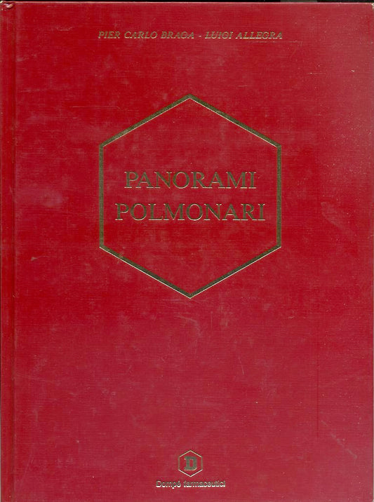 LZ- PANORAMI POLMONARI - BRAGA ALLEGRA - DAMPO' FARMACEUTICI--- 1991- C- ZDS580 