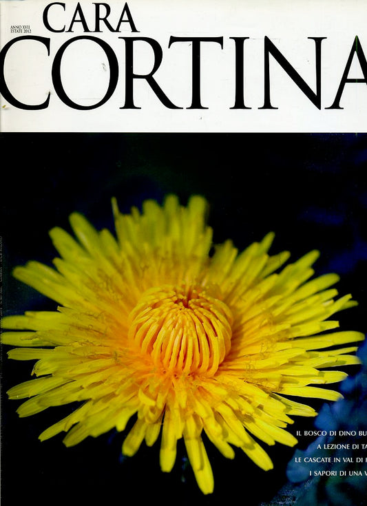 LR- PERIODICO RIVISTA CARA CORTINA ANNO XVII ESTATE 2012 ---- 2012 - B - YDS609
