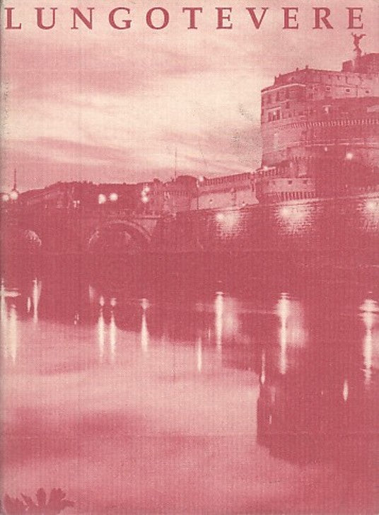 LT- CATALOGO OPERE LUNGOTEVERE - ROMANI BRIZZI - IL POLITTICO --- 1995- B- XFS27