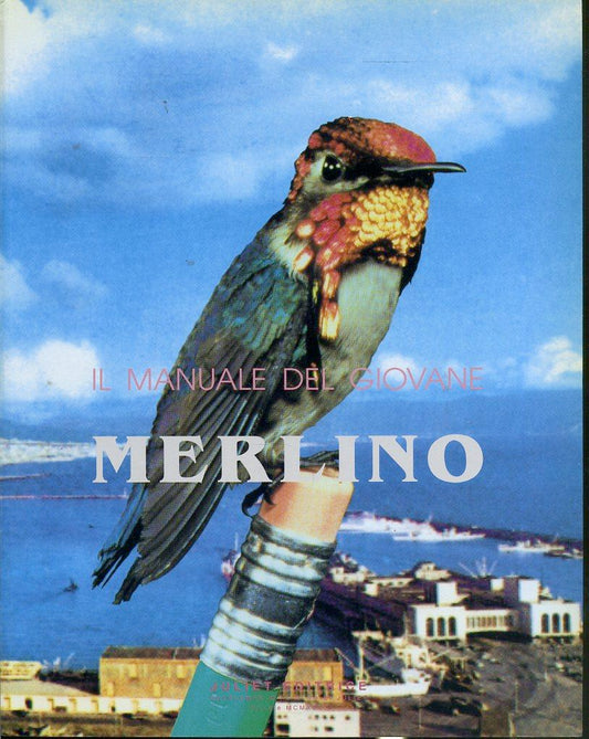 LT- IL MANUALE DEL GIOVANE MERLINO PITTURA IMMAGINI-- JULIET--- 1996- B- YFS619