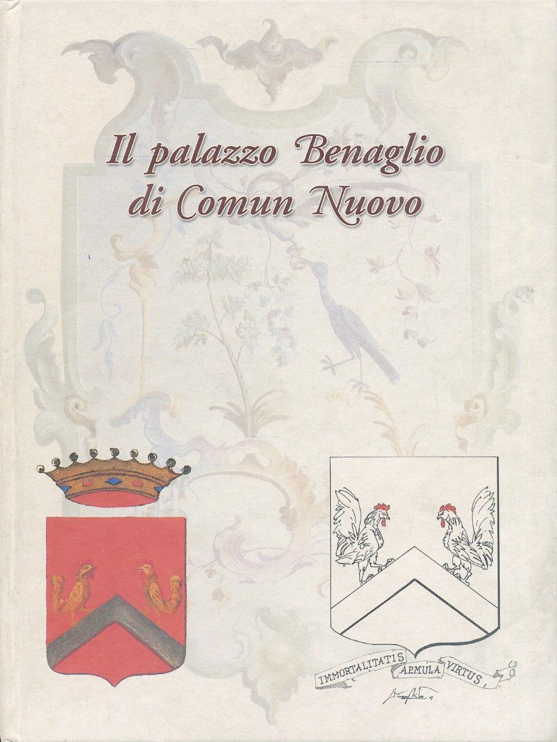 LT- IL PALAZZO BENAGLIO DI COMUN NUOVO - MISTRINI PANZERI ---- 2007 - C - ZFS654