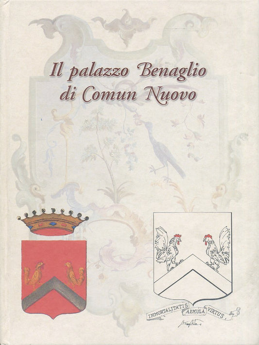 LT- IL PALAZZO BENAGLIO DI COMUN NUOVO - MISTRINI PANZERI ---- 2007 - C - ZFS654