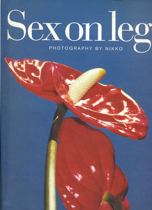 LT- SEXON LEGS PHOTOGRAPHY BY NIKKO -- NIKKOBOOK --- 2000 - B - YFS680