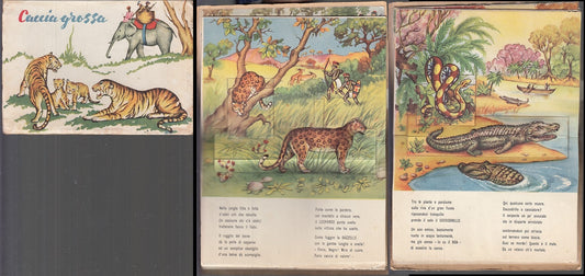 LB- CACCIA GROSSA LIBRO ANIMATO -- PICCOLI - COLLANA DELIZIA 2 -- 1951- C- XFS38