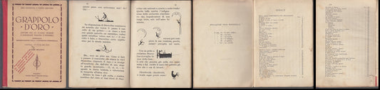 LB- GRAPPOLO D'ORO SCUOLE - PROVENZAL GIACOBBE PINO MELIS ---- 1925- C- XFS41