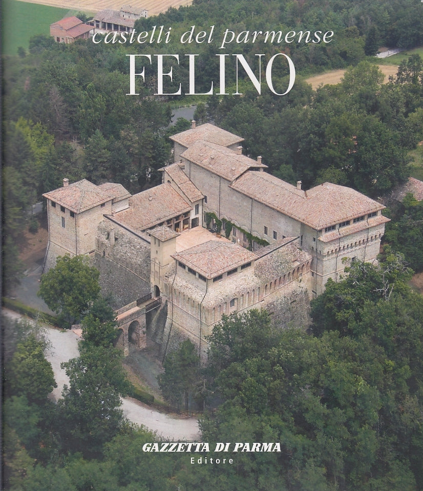 LV- CASTELLI DEL PARMENSE FELINO -- GAZZETTA DI PARMA --- 2009 - B - YFS353
