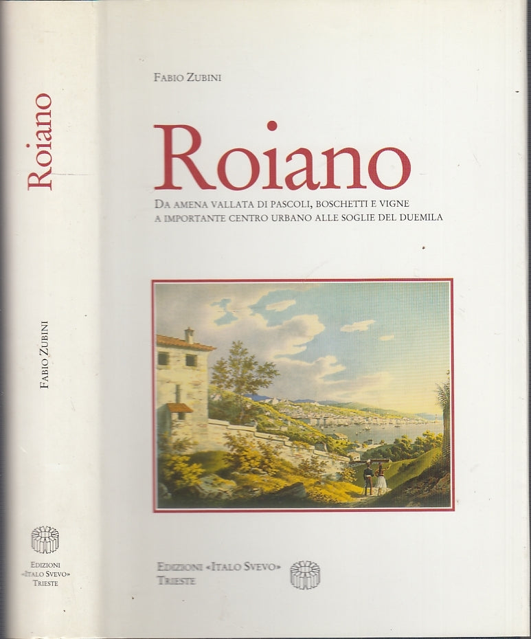 LS- ROAINO - FABIO ZUBINI - ITALO SVEVO EDIZIONI --- 1996 - CS - XFS43