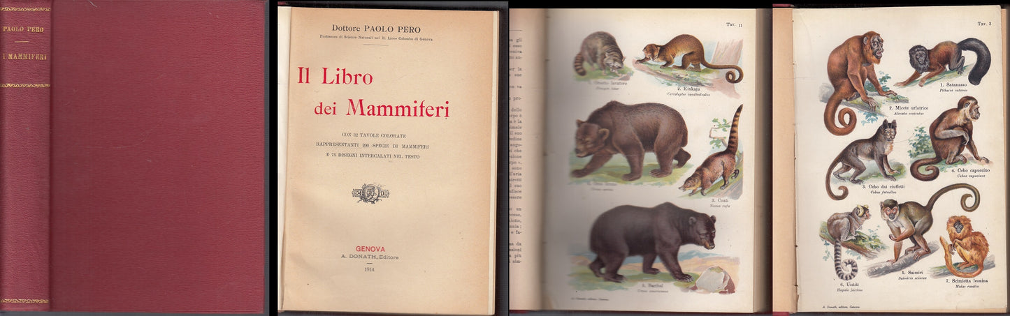 LZ- IL LIBRO DEI MAMMIFERI - DOTTORE PAOLO PERO - DONATH --- 1914- C- XFS46
