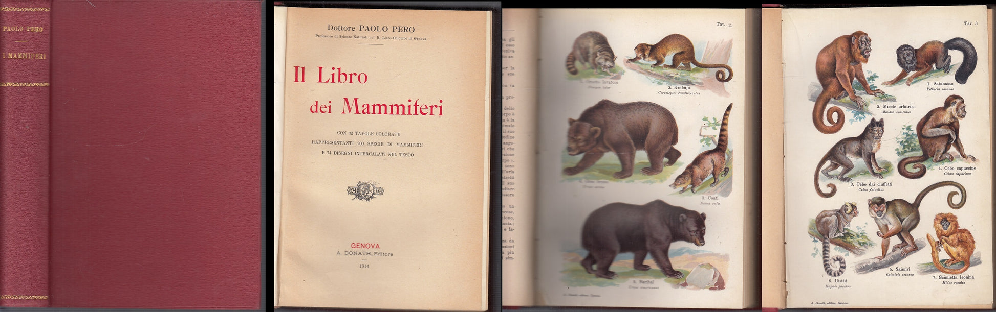 LZ- IL LIBRO DEI MAMMIFERI - DOTTORE PAOLO PERO - DONATH --- 1914- C- XFS46