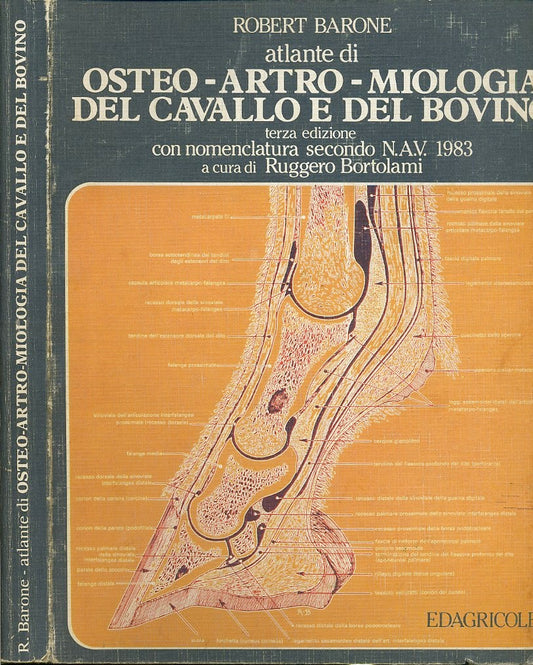 LZ- ATLANTE OSTEO ARTRO MIOLOGIA CAVALLO BOVINO - BARONE ---- 1987- B- YFS137
