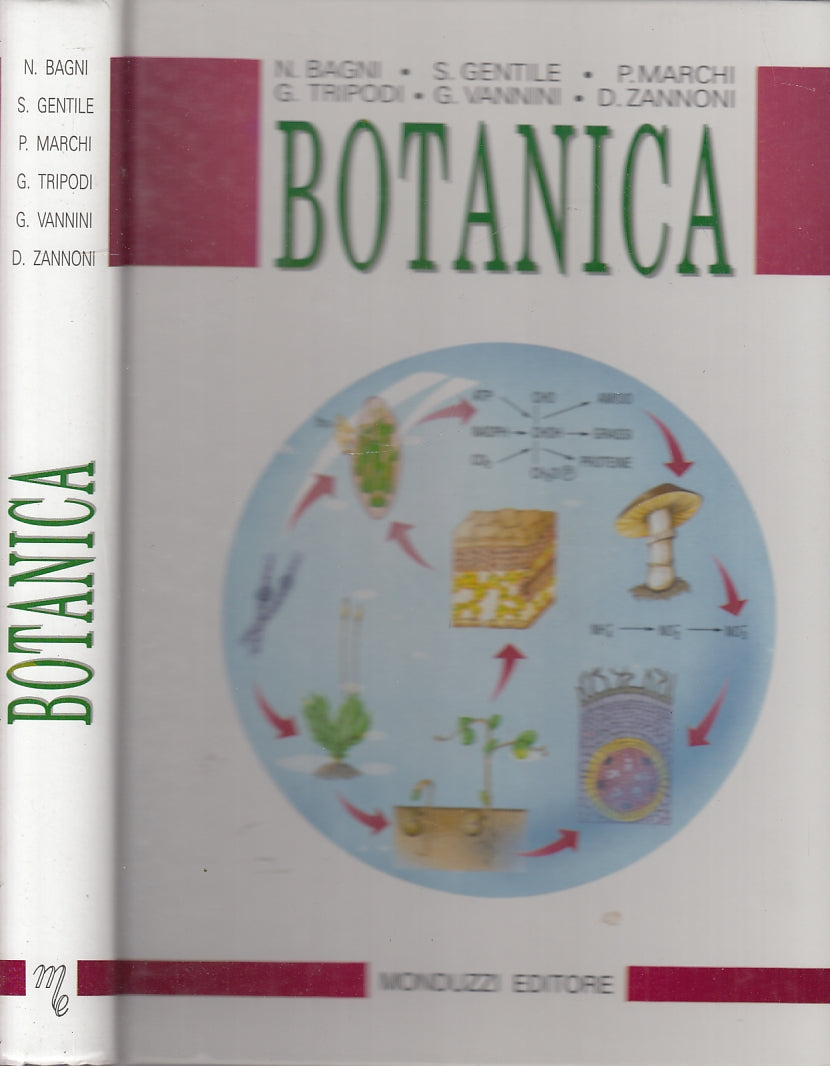 LZ- BOTANICA - BAGNI GENTILE TRIPODI - MONDUZZI --- 1997- C- ZFS594