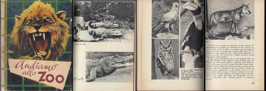 LZ- ANDIAMO ALLO ZOO ARMANDO BRUNI -- EDIZIONI PAOLINE --- 1955 - B - XFS33