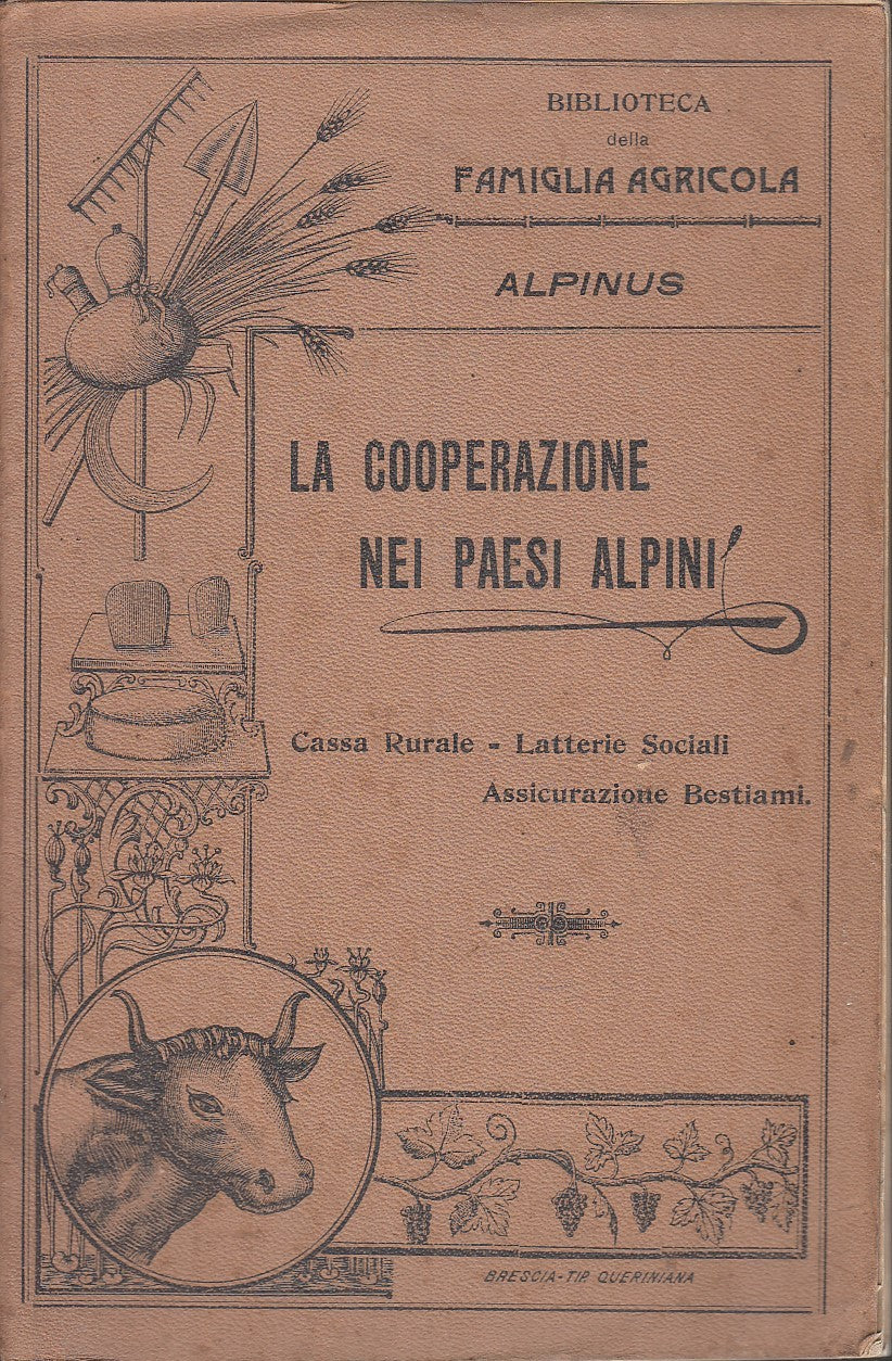 LH- LA COOPERAZIONE NEI PAESI ALPINI CASSA RURALE-- QUERINIANA--- 1901- B- XFS59
