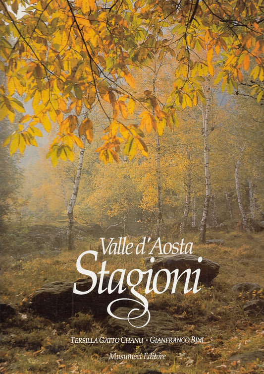 LT- VALLE D'AOSTA STAGIONI FOTO POESIE - GATTO CHANU BINI---- 1991- CS- ZFS598