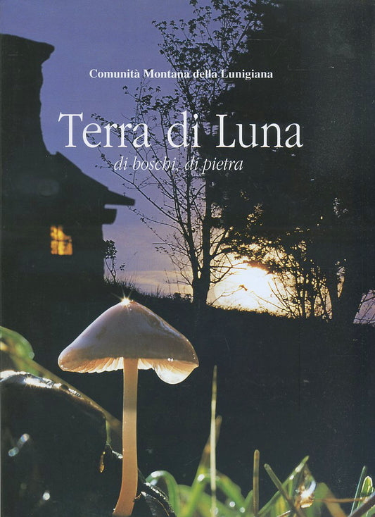 LV- TERRA DI LUNA DI BOSCHI DI PIETRA LUNIGIANA -- PUBLI ART--- 2002- CS- ZFS565