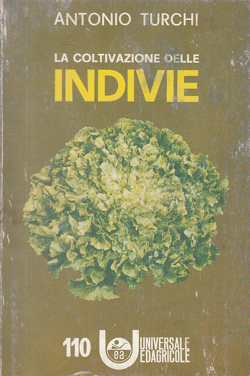 LZ- LA COLTIVAZIONE DELLE INDIVIE - TURCHI - EDAGRICOLE --- 1977 - B - ZFS44