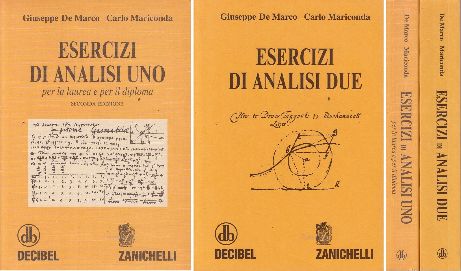 LZ- ESERCIZI DI ANALISI LAUREA DIPLOMA-- DECIBEL ZANICHELLI--- 1999 - B - YFS483