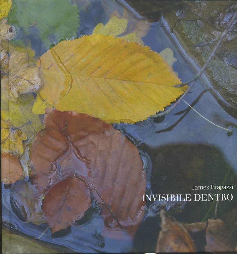 LT- INVISIBILE DENTRO CATALOGO MOSTRA - JAMES BRAGAZZI ---- 2011- C- YFS245