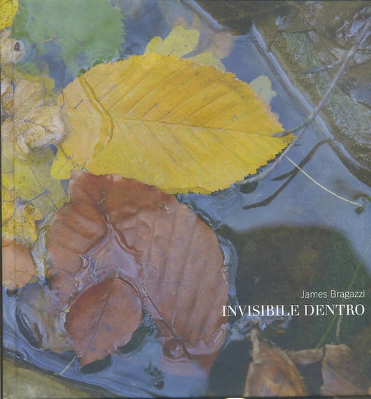 LT- INVISIBILE DENTRO CATALOGO MOSTRA - JAMES BRAGAZZI ---- 2011- C- YFS245