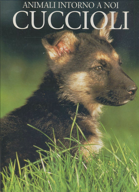 LZ- ANIMALI INTORNO A NOI CUCCIOLI - MARCUS SCHNECK - EDICART--- 1995- C- YFS702