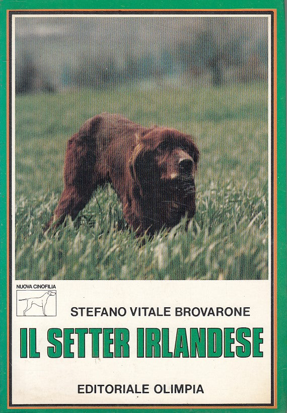 LZ- IL SETTER IRLANDESE - BROVARONE - OLIMPIA - CINOFILA -- 1985 - B - ZFS443