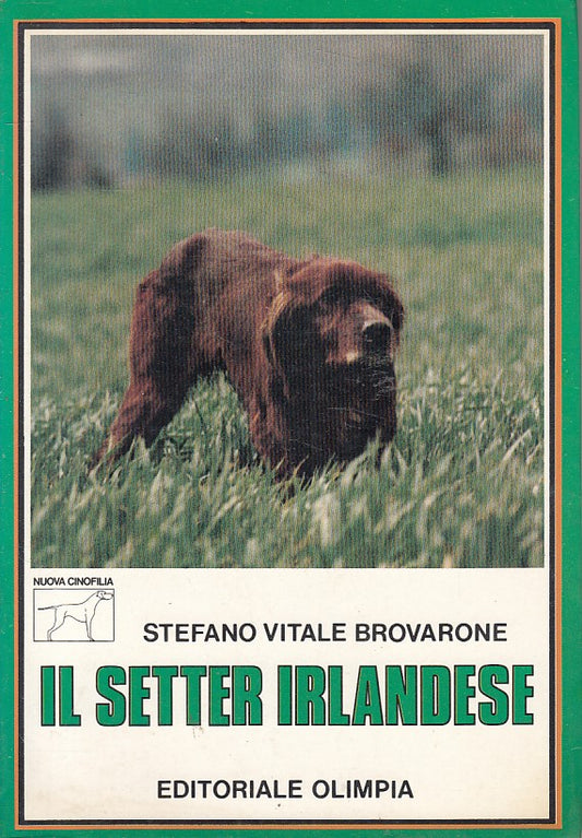 LZ- IL SETTER IRLANDESE - BROVARONE - OLIMPIA - CINOFILA -- 1985 - B - ZFS443