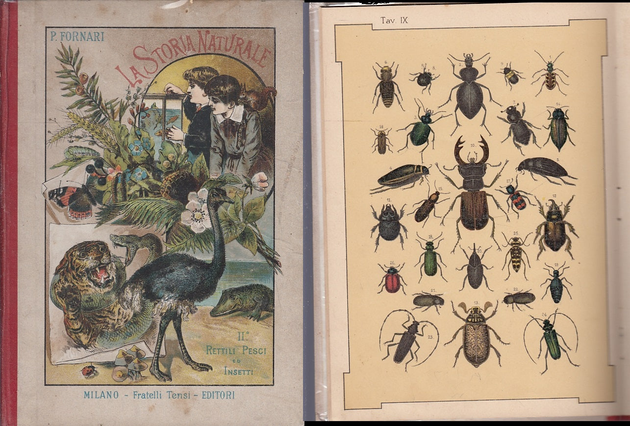 LB- LA STORIA NATURALE II CROMOLITOGRAFIE- FORNARI- F.LLI TENSI--- 1900- C-XFS22