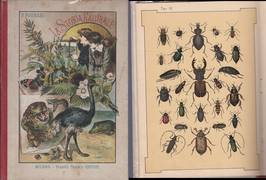 LB- LA STORIA NATURALE II CROMOLITOGRAFIE- FORNARI- F.LLI TENSI--- 1900- C-XFS22