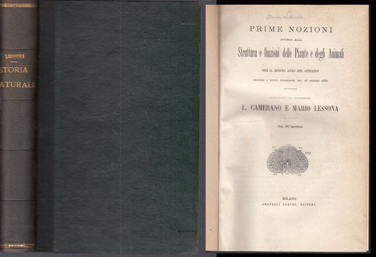 LH- STORIA NATURALE STRUTTURA FUNZIONI PIANTE- LESSONA- TREVES--- 1881- C- XFS35