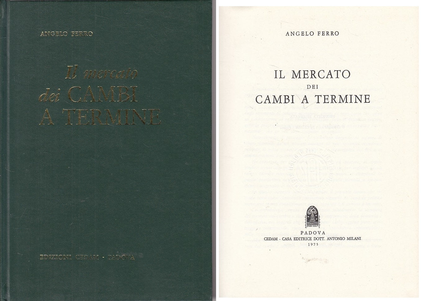 LZ- IL MERCATO DEI CAMBI A TERMINE - FERRO - CEDAM --- 1973 - C - ZFS423