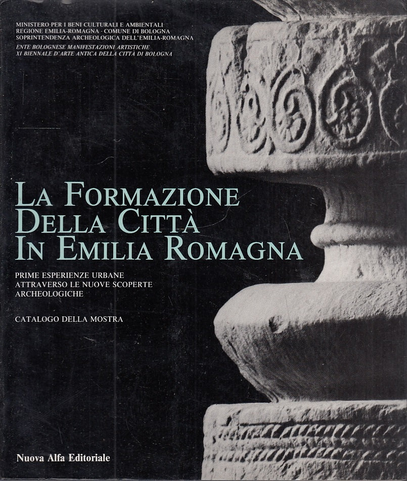 LS- LA FORMAZIONE DELLA CITTA' IN EMILIA ROMAGNA-- NUOVA ALFA--- 1987- B- YFS616